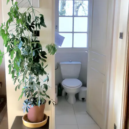 Ferienhaus Maison Familiale Avec Piscine Partagee A Moissac, Jardin Moissac