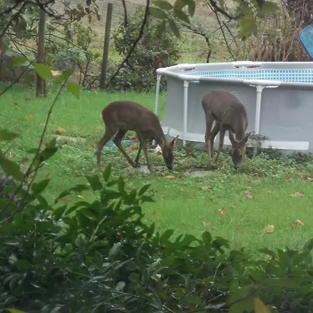 Maison Familiale Avec Piscine Partagee A Moissac, Jardin