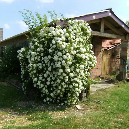 Maison Familiale Avec Piscine Partagee A Moissac, Jardin Ferienhaus