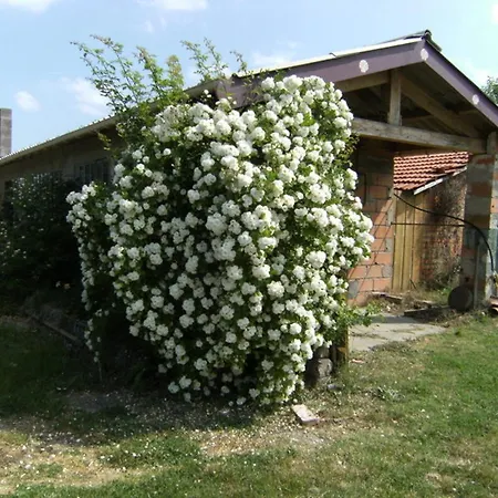 Maison Familiale Avec Piscine Partagee A Moissac, Jardin Feriehus Moissac