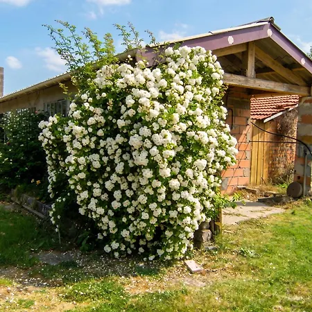 Maison Familiale Avec Piscine Partagee A Moissac, Jardin Feriehus Moissac